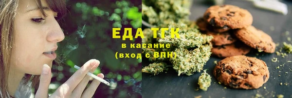 индика Алексин