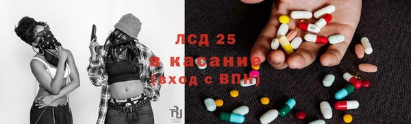 индика Алексин