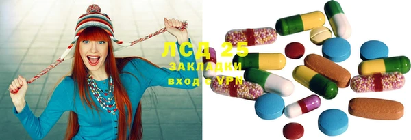 спайс Алзамай