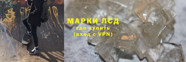 индика Алексин