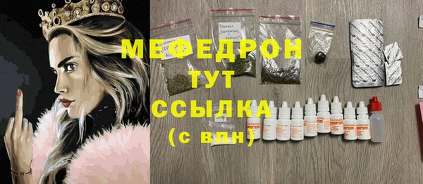 индика Алексин