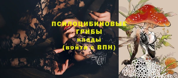 индика Алексин