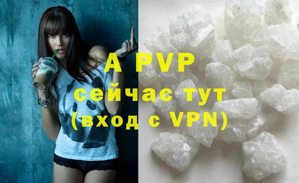 индика Алексин