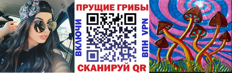 купить наркотик  Мензелинск  Псилоцибиновые грибы прущие грибы 